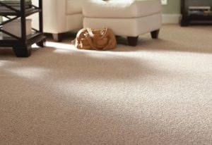 Carpet flooring installed by Pro Floor & Tile.